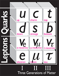 Leptons Quarks