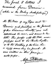 Carta A. R. Wallace