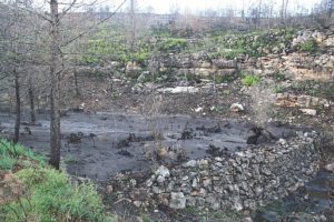 Després dels incendis augmenta la pèrdua de sòl - cicle hidrològic