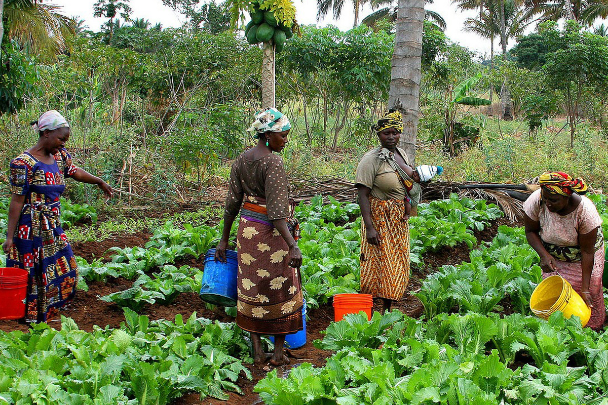 dones agrícoles davant canvi climàtic