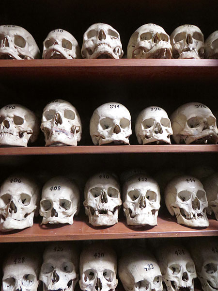 colecciones osteológicas Coimbra