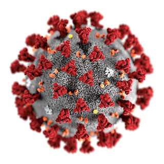 coronavirus il·lustració