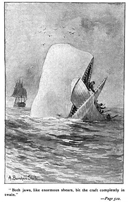 Figura 1. Il·lustració d’Augustus Burham Shute en les pàgines interiors d’una edició de 1892 de Moby Dick, la gran obra de Herman Melville./ Wikimedia