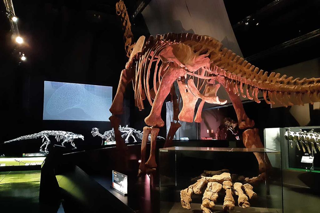 Sala dels Dinosaures del museu paleontològic de Dinópolis a la ciutat de Terol