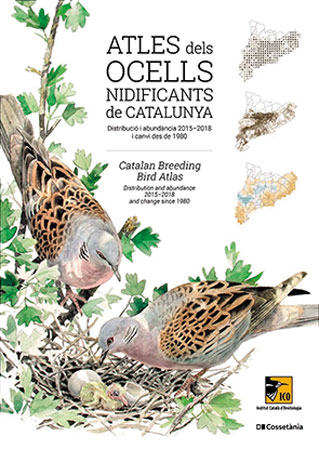Coberta del Atles dels Ocells nidificats de Catalunya: Distribució i abundància 2015-2018 i canvi des de 1980