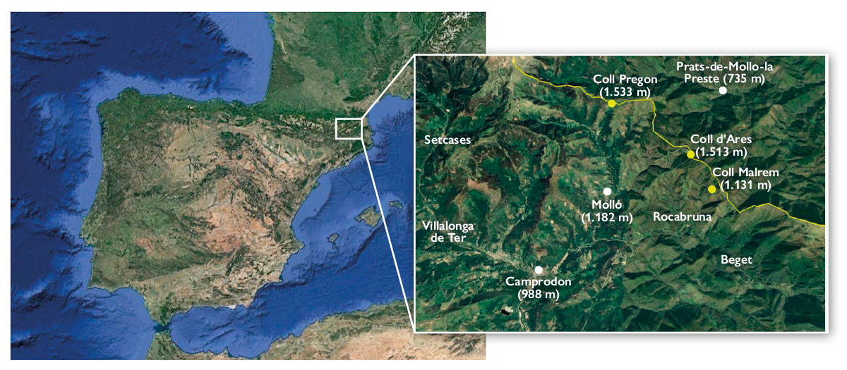 Àmbit geogràfic dels colls de Malrem, d’Ares i Pregon, i les ubicacions de Camprodon, Molló i Prats de Molló amb una vista aèrea