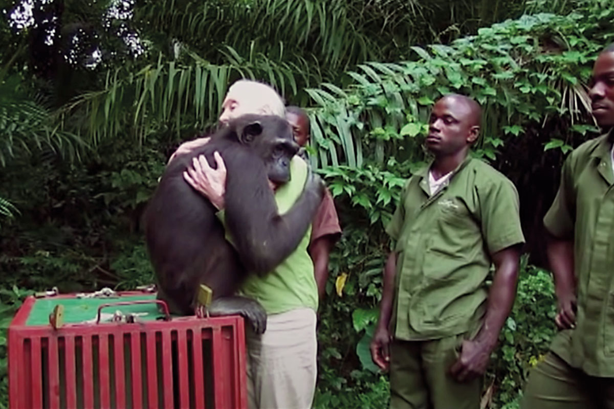 Jane Godall abraça un ximpanzé