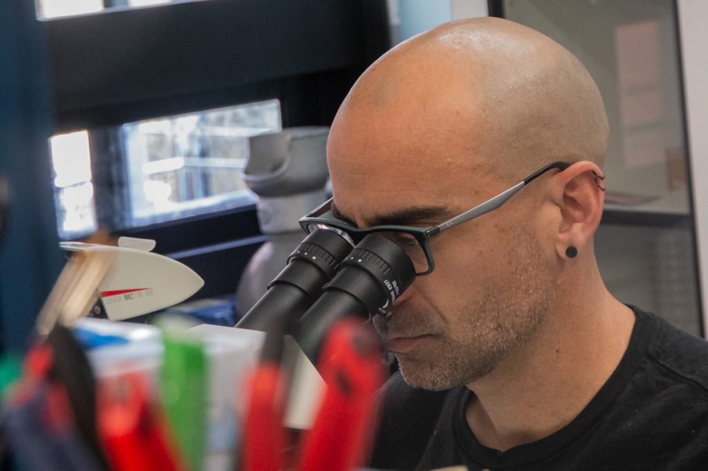 Pau Carazo treballant al microscopi