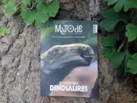 portada de El llegat dels dinosaures