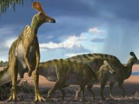 Adynomosaurus